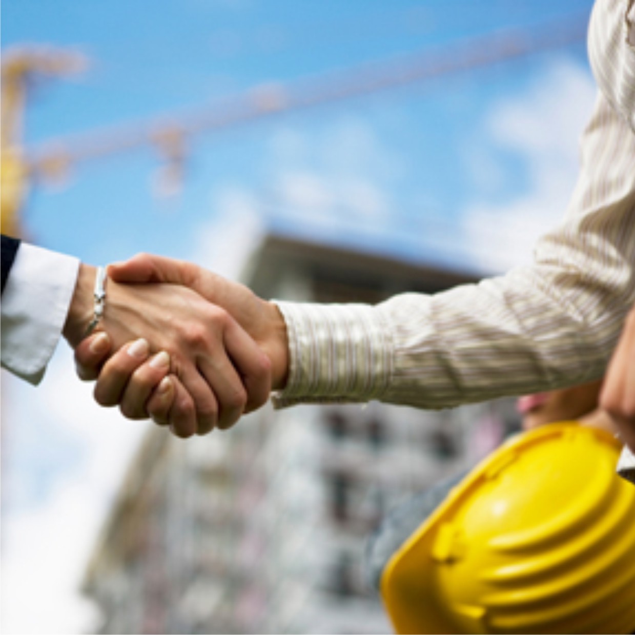 maincontractor maincontractor